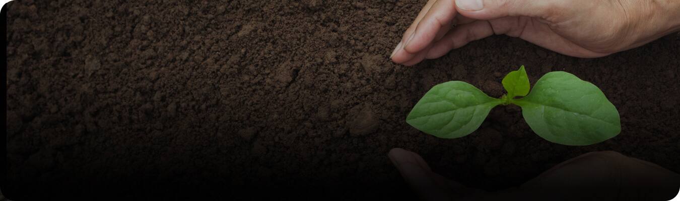 Bærekraftige tannpleieprodukter