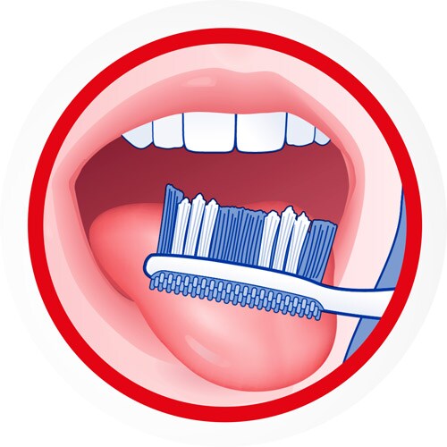 colgate-junior-tannbørste-bi1